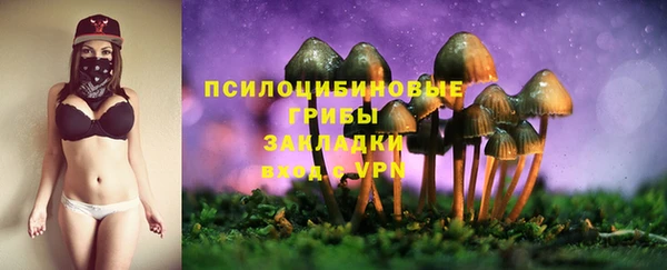 скорость Богданович