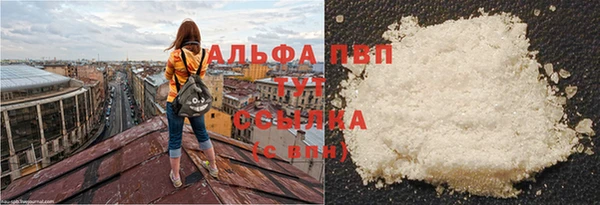 скорость Богданович