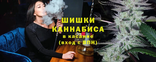 молекула духа Богородицк