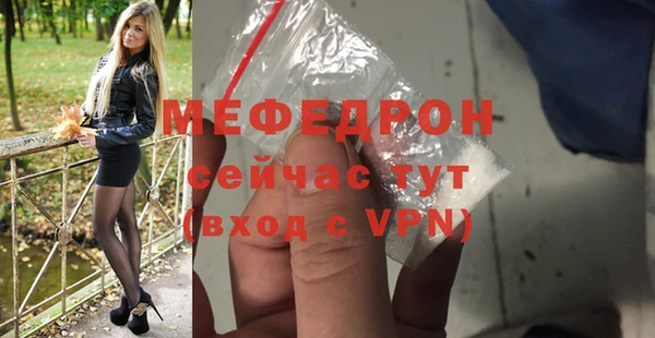 молекула духа Богородицк