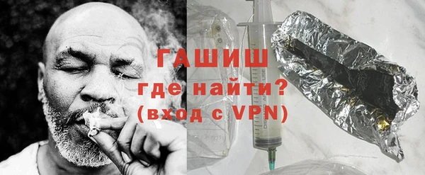 молекула духа Богородицк