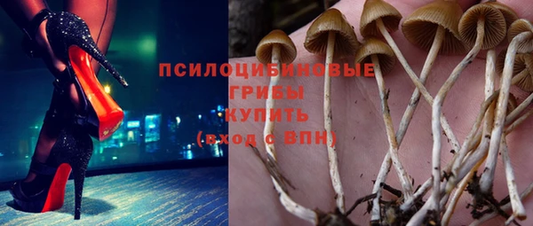 прущая мука Белокуриха