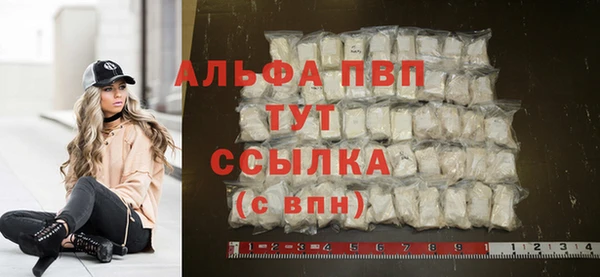 молекула духа Богородицк