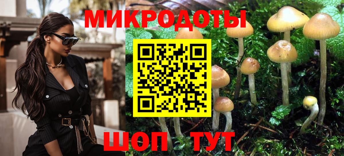 Галлюциногенные грибы Psilocybine cubensis Воркута