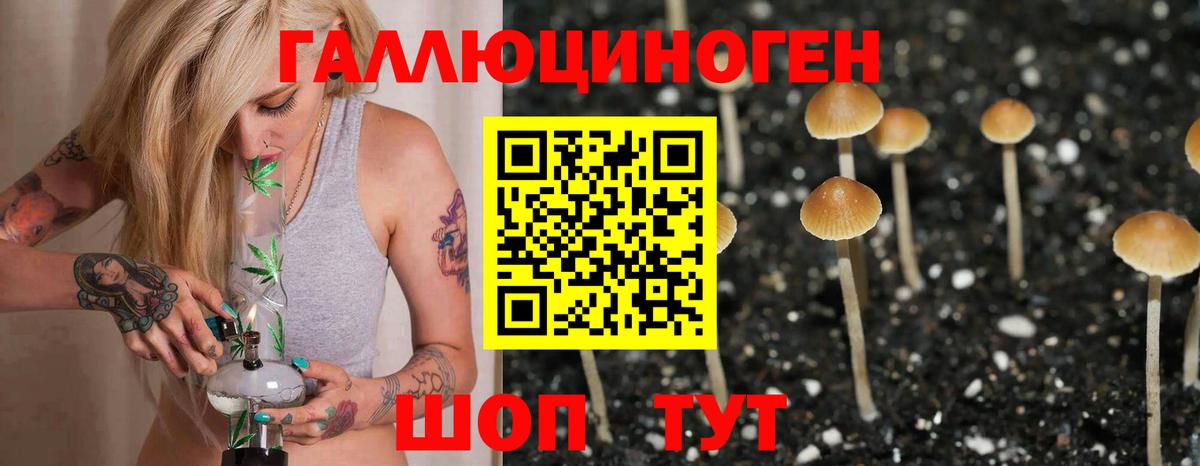 Галлюциногенные грибы Cubensis  Вход с VPN  Воркута 